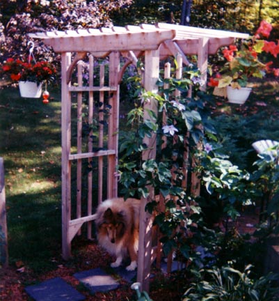 Rose Arbor photo 4